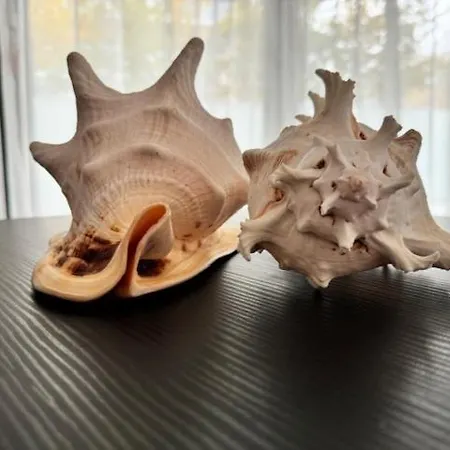 Baltic Flauta Sea&spa-hevenia - 5d * Pogorzelica (Gmina Rewal)